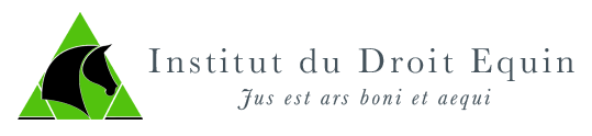 logo IDE